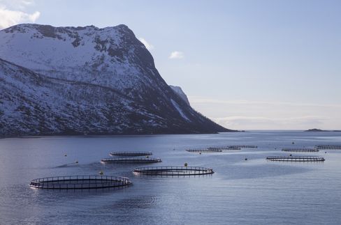 TREDJE STERKESTE: Sjømat, nære land og langt til havs, er ett av næringsfeltene Norge er i særklasse på.