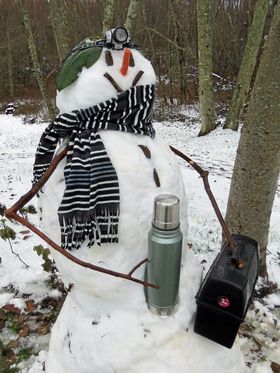 BLIR DU MED OG BYGGER SNØMANN?: Det er bare å synge som i Frost, og gjøre klart til å bygge snømann og stå på ski igjen!