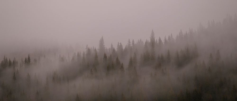 Det at kameraet er forholdvis kompakt, gjør det desto mer sannsynlig at du faktisk har det med deg når forholdene plutselig ligger til rette for et kult bilde. 1/250s - f/2.8 - ISO 320. Optimalisert fra raw.