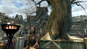 The Elder Scrolls V: Skyrim Special Edition.