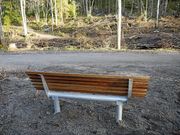 FOR EN UTSIKT: For en uke siden ble det satt inn en benk ved lysløypen på Tårnåsen, men utsikten mot hauger av kvist frister ikke mange.