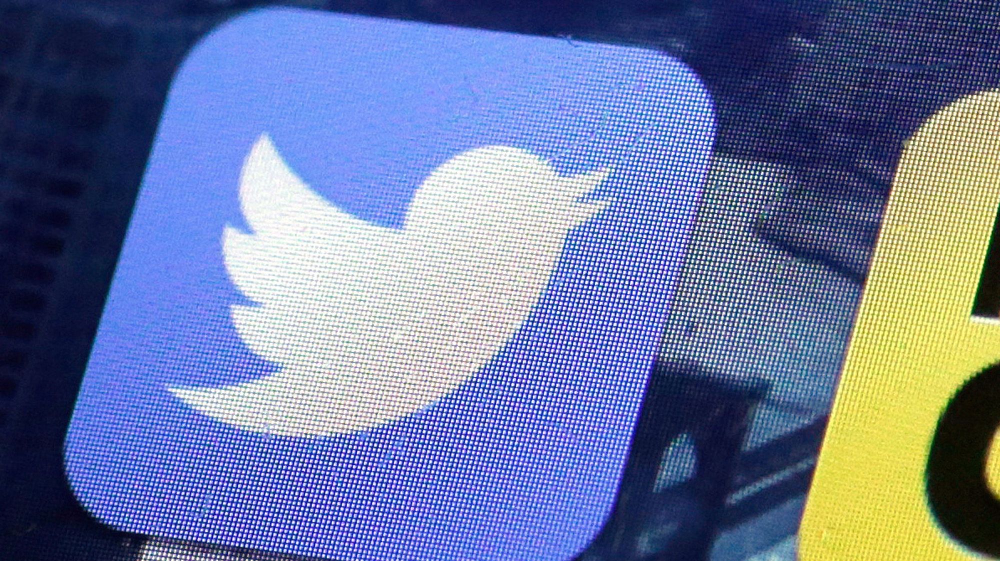 INNSIKT: Slik bruker despoter Twitter til å jakte på motstandere