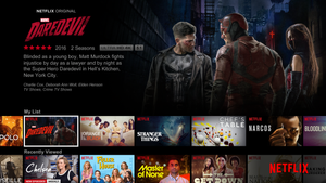 netflix.300x169.png