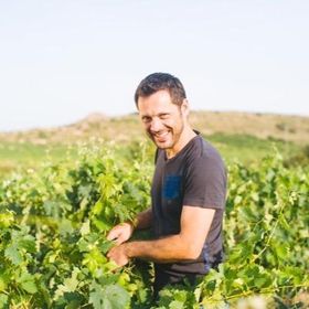 Olivier Riviere i vinmarken.