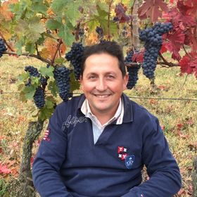Giorgio Gozzelino.