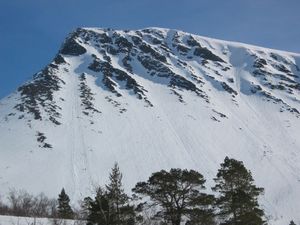 Little_avalanches_26938.300x225.jpg