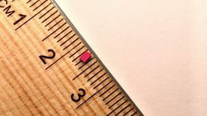 chip-on-ruler.300x169.jpg