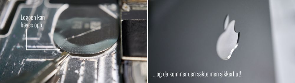 Ved hjelp av en brekkebladkniv og skrutrekkeren fikk vi vippet ut logoen.