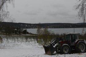 IDYLLISK: Sjødalstrand Gård, med alle sine plommetrær, har en fantastisk beliggenhet.