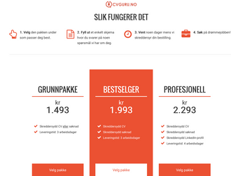 Skjermdump fra CV Gurus nettsider.