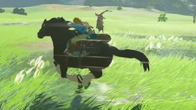 The Legend of Zelda: Breath of The Wild.