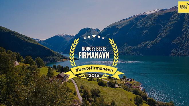 HAR DU ET GODT FIRMANAVN?