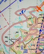 INGEN TVIL: Det er ikke vanskelig å se hvilket dyr dette er.