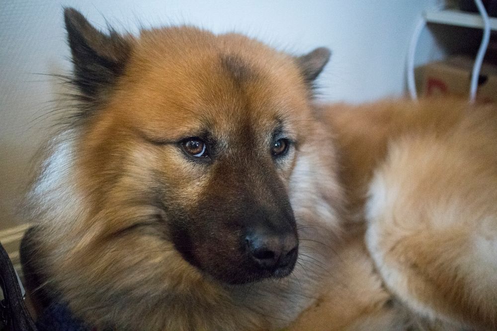 ISO 6400, behandlet råformat; fint brukbart selv etter at vi har justert opp lysnivået litt. Men innebygget bildestabilisering for å holde ISO-en nede hadde ikke vært å forakte likevel. 1/80s - f/2.0 - ISO6400.