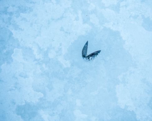 Når kameraet er såpass lite er det jo også lettere å ta med på tur; du vet aldri når det dukker opp et godt motiv. 1/500s - f/3.2 - ISO 200. Behandlet fra råformat.