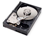 Western Digital Raptor 73,4 GB