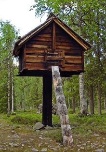 En variant av den samiske njalla. Trygg for rovdyr.