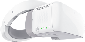 DJI Goggles.
