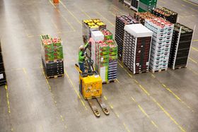BANANGULT: En flåte av 45 Jungheinrich-trucker summer rundt på anlegget. Jungheinrich vant anbudet for levering av trucker til anlegget i 2014. - Vi tenkte på levetid, og hadde dessuten en gammel truckpark som skulle avhendes. Det var totalpakken på avhending og kjøp som gjorde at vi valgte Jungheinrich, sier terminalsjef Arild Steen.