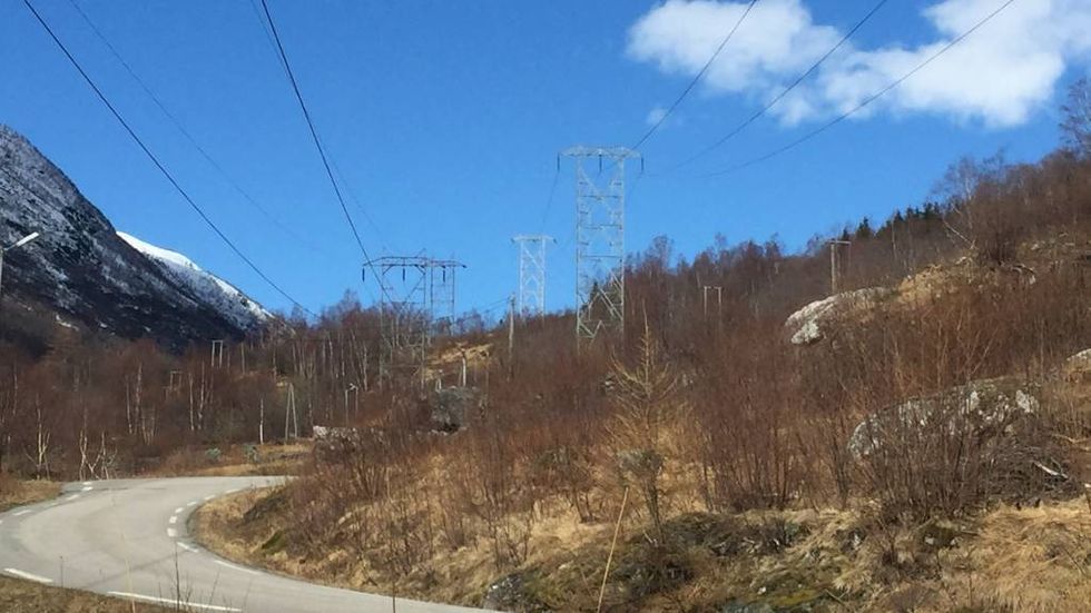 DÅRLEGE VILKÅR: – Mange meldingar er knytt til dei dårlege vilkåra til enkelte av selskapa som lokkar med billig straum i spotmarknaden, seier forbrukardirektør Randi Flesland. Illustrasjonsfoto
