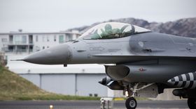 I tillegg til kampflyene deltar også transportfly, EW-fly (fly som utfører elektroniskkrigføring), og tankfly.