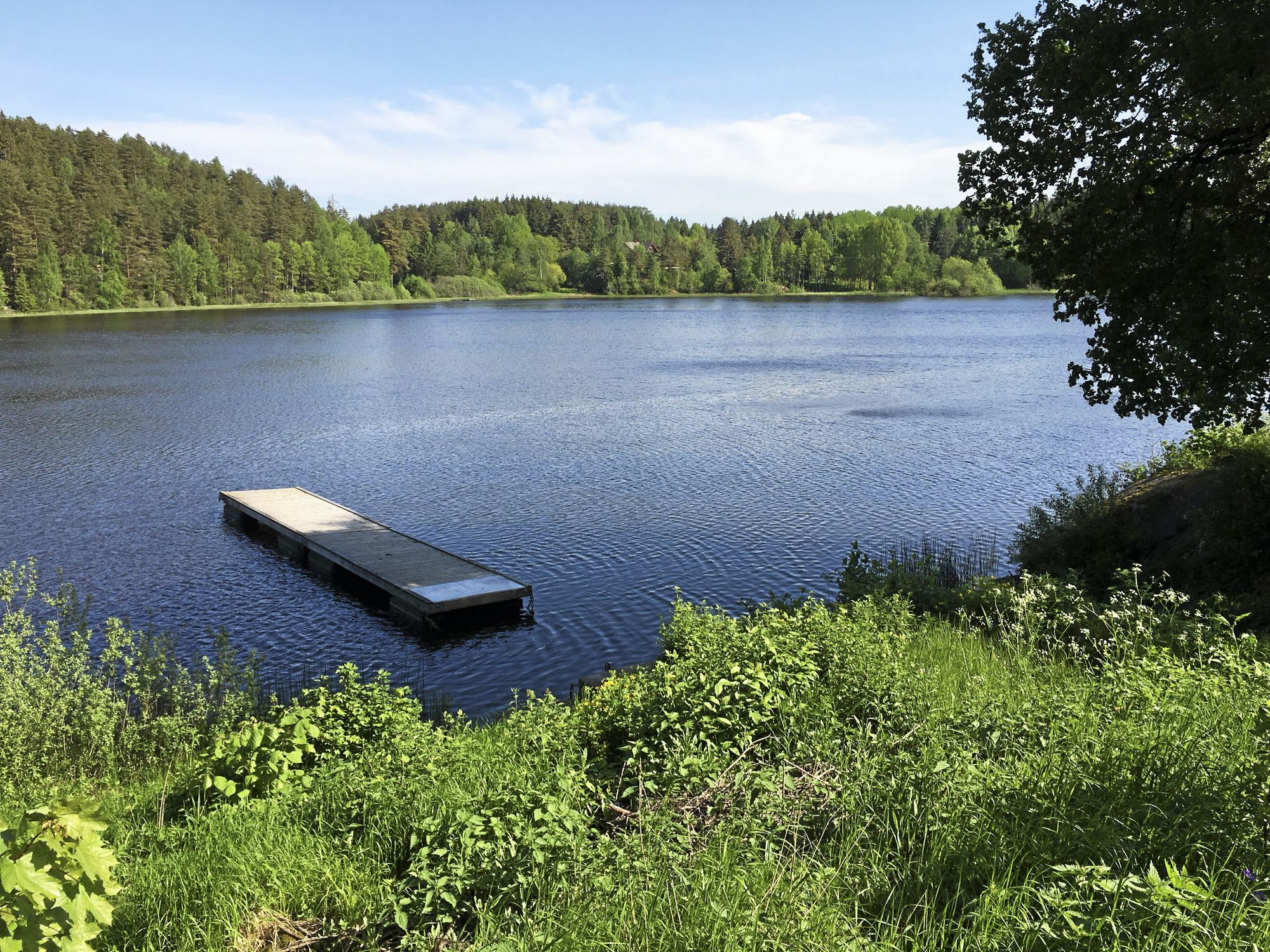 IDYLLISK: Tussetjern er en fantastisk plass å bade og kose seg på!