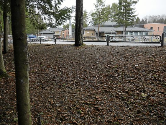 KOMMUNENS STØRSTE BARNESKOLE: Tårnåsen skole er kommunens største barneskole.