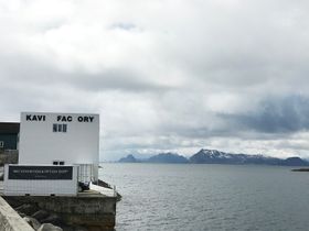 Galleriet The KaviarFactory i Henningsvær. De tre bokstavene som mangler er ikke blåst ned, men danner et engelsk ord. Foto: Stian Sønsteng.