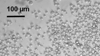 Slik ser cellulose-perlene ut.