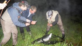 SVAK SESONG: 2017 har vore ein laber fiskesesong, seier Sælthun, som trur flaumen i 2014 kan vera årsaka til det..