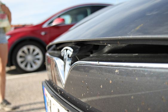 LANGTUR: Det gikk med en del mygg under testingen av denne bilen.