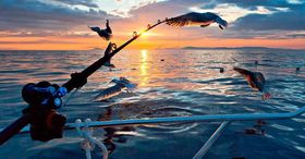 AKTIVITETER: NHO Reiseliv mener gode aktiviteter fører til rekordtall for overnattingsbransjen. Foto: Kongshus Jakt-og Fiskecamp/HANEN.