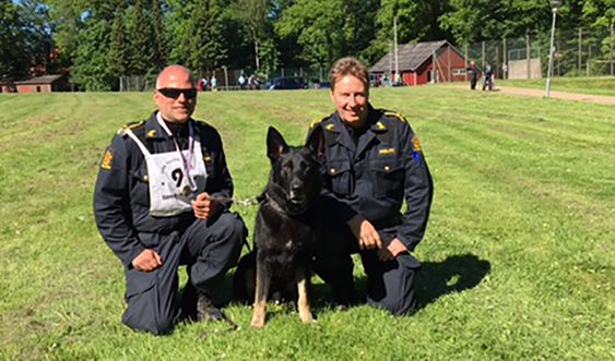 VANT IGJEN: Bjørn Rolland og politihunden Cooper vant igjen. Her er de under det nordiske mesterskapet i sommer da Møllers Cooper, som er hans fulle navn, og Rolland ble Nordens beste. Her er de sammen med seksjonsleder Gunnar Rasmussen.