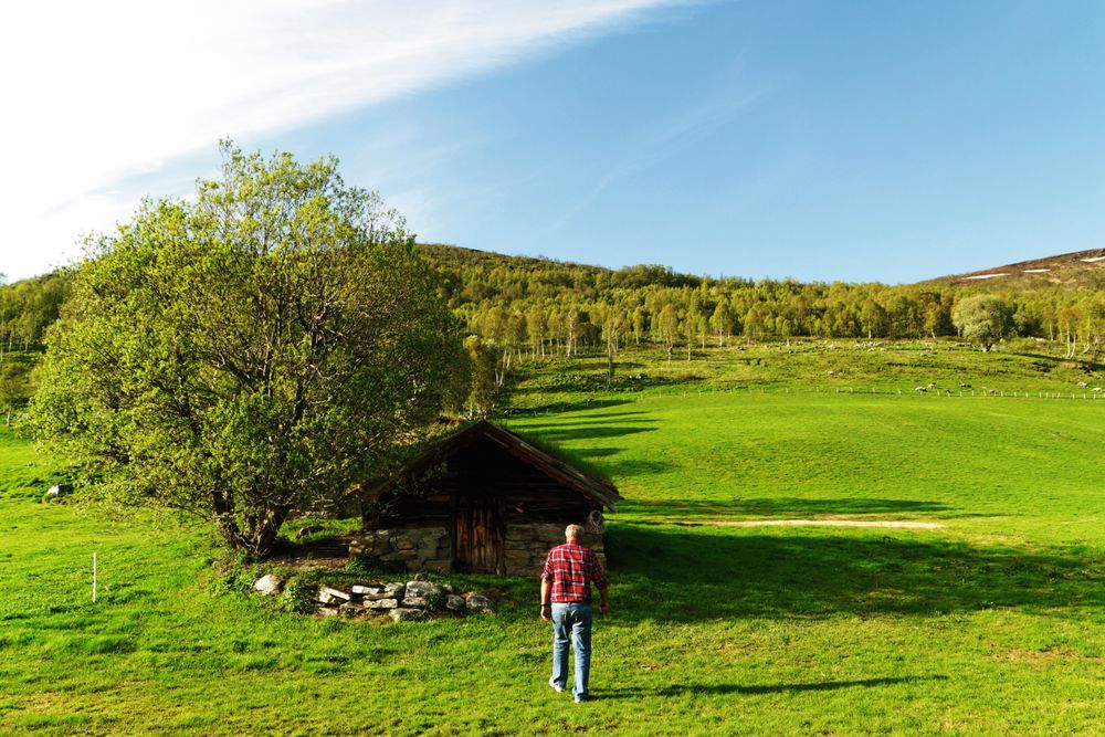 Halvor Storli på vei til malttørkehuset som fortsatt er i bruk. Det ligger på Storli Gård, lengst inne i Storlidalen i Oppdal.