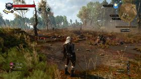 The Witcher 3: Wild Hunt.