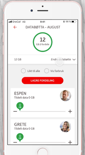 I appen kan du fordele «databøtten» som du vil.