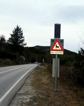 Såkalla dynamiske hjorteskilt med to blinkande varselys blir no testa ut i fleire stader i Sogn og Fjordane i område der det har vore mange påkøyringar av hjort.