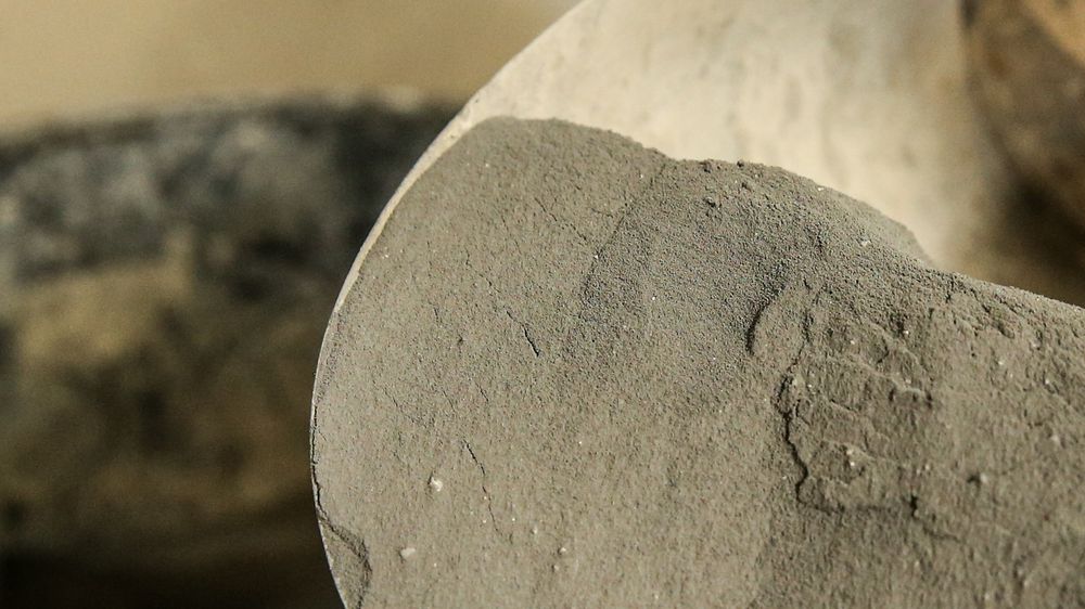 I pulverform: Slik ser microsilica i pulverform ut. Det som tidligere forsvant ut fabrikkpipen som sjenerende støv, er nå millionbutikk.