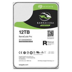 Ohhhh BarraCuda!