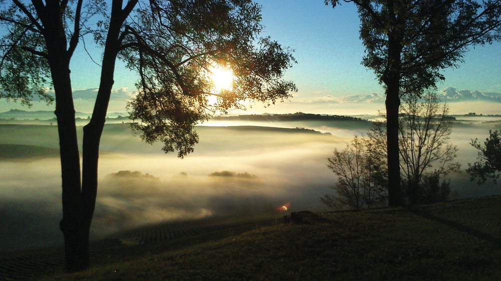 DOCG-et Ruchè di Castagnole Monferrato ligger mellom Asti og Monferrato.