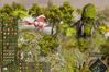 ParaWorld