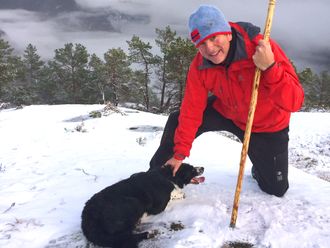 Broren Sveinungs sauehund, Juni, på tur med Bjelland i fjellene rundt familiegården.