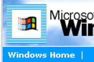 Windows fyller år