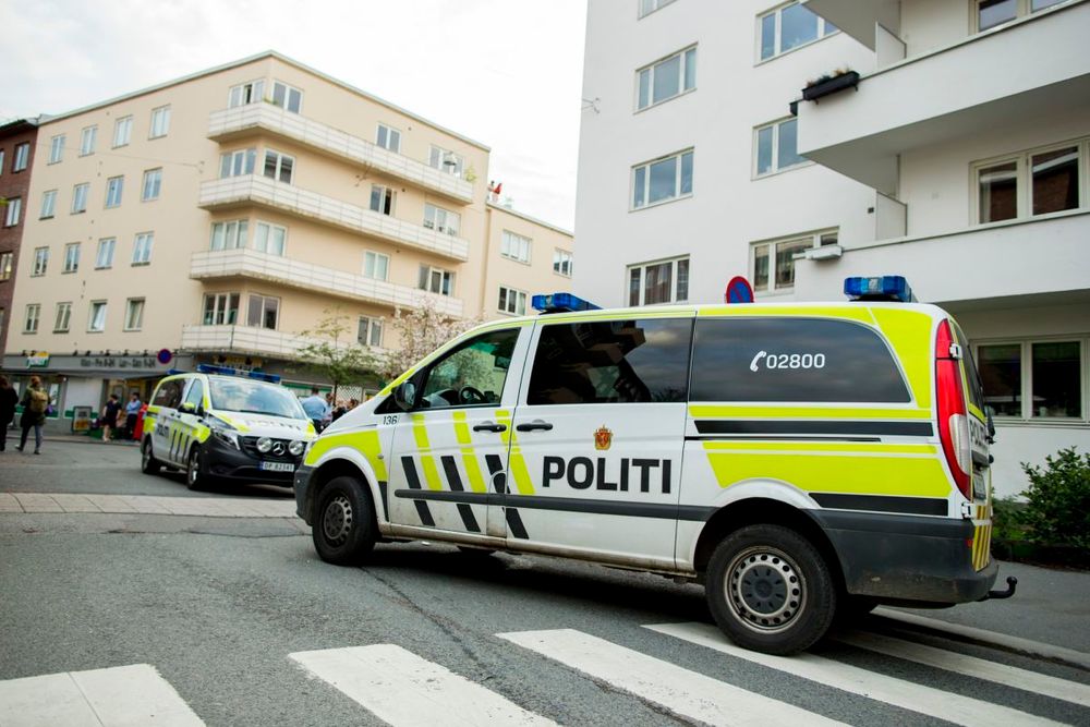 Innvandrere reiser rundt for å true og banke opp etnisk norsk ungdom, skrev Resett. Men det har de ikke dekning for, viser faktasjekken