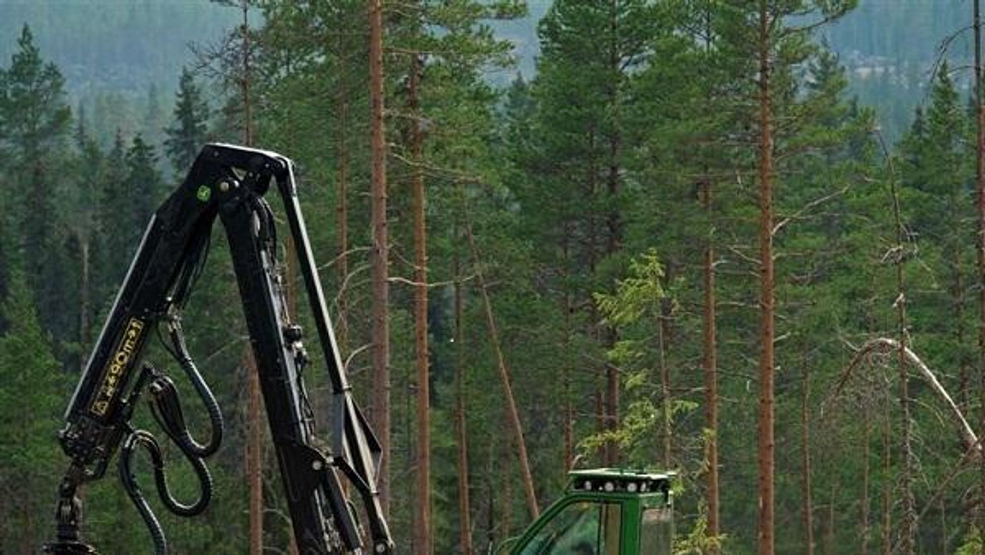Norske skogsmaskinførere sliter mer med muskeplager enn sine franske kolleger viser studier.