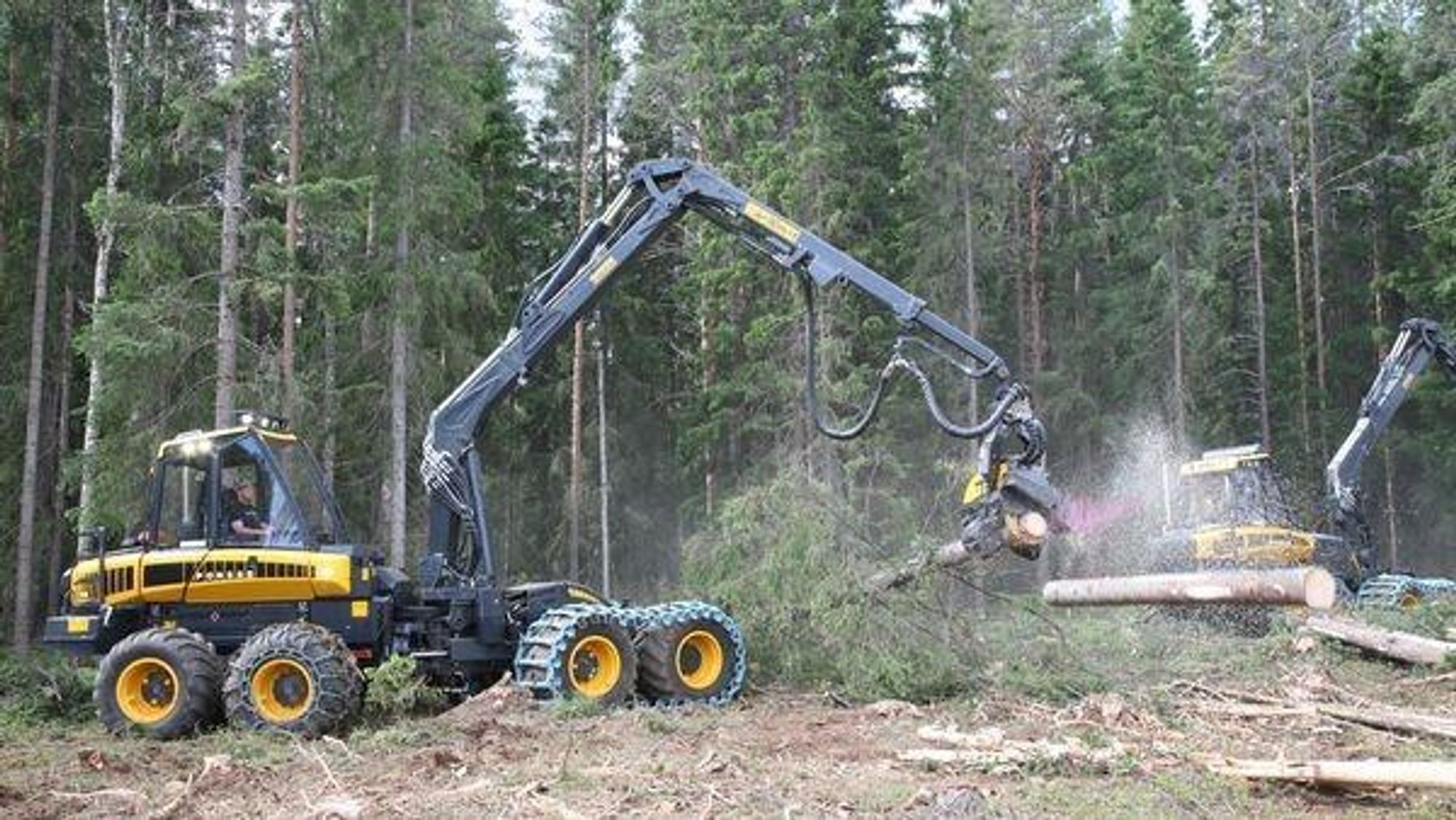 På demoområdet vil skogsmaskinene vise sine muskler begge dager.