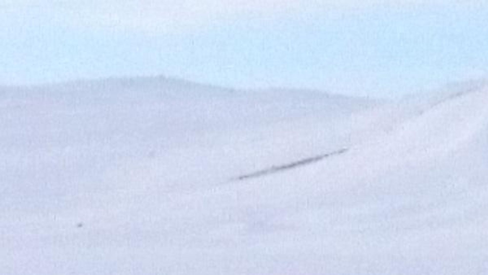 Tidligere bilde av flokken som holder veien stengt over Hardangervidda.