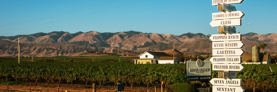 Lær alt om hvorfor californiske viner er så populære nå. Master of Wine, Mai Tjemsland tar deg med på en smaksrunde