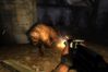 S.T.A.L.K.E.R: Shadow of Chernobyl