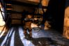 S.T.A.L.K.E.R: Shadow of Chernobyl